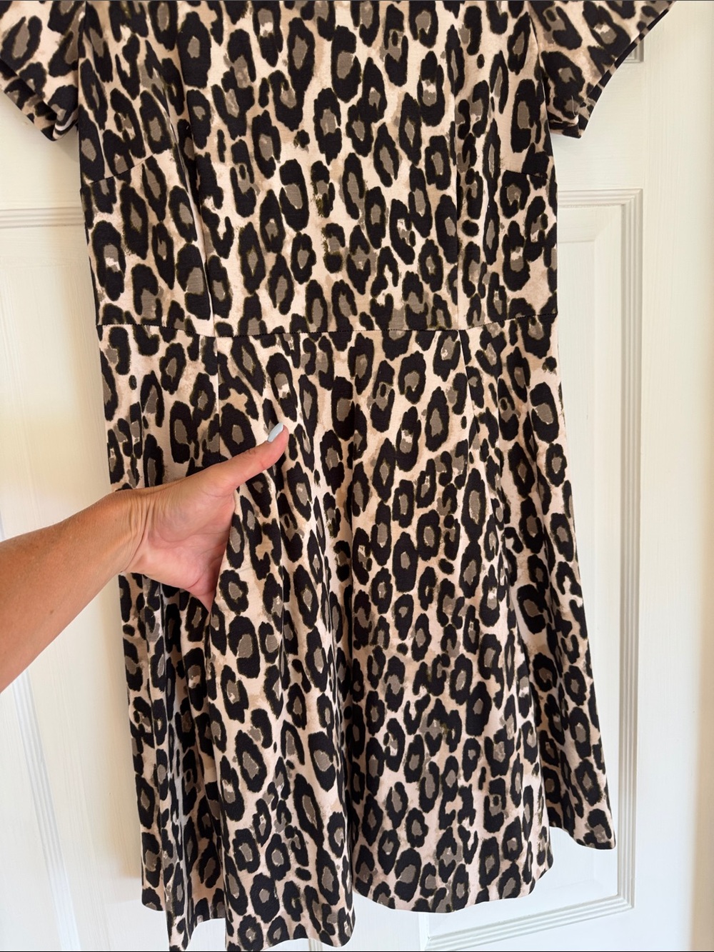Kate Spade Leopard Print Short-Sleeve Fit & Flare Dress - Black, Cream, Tan - Picture 9 of 9